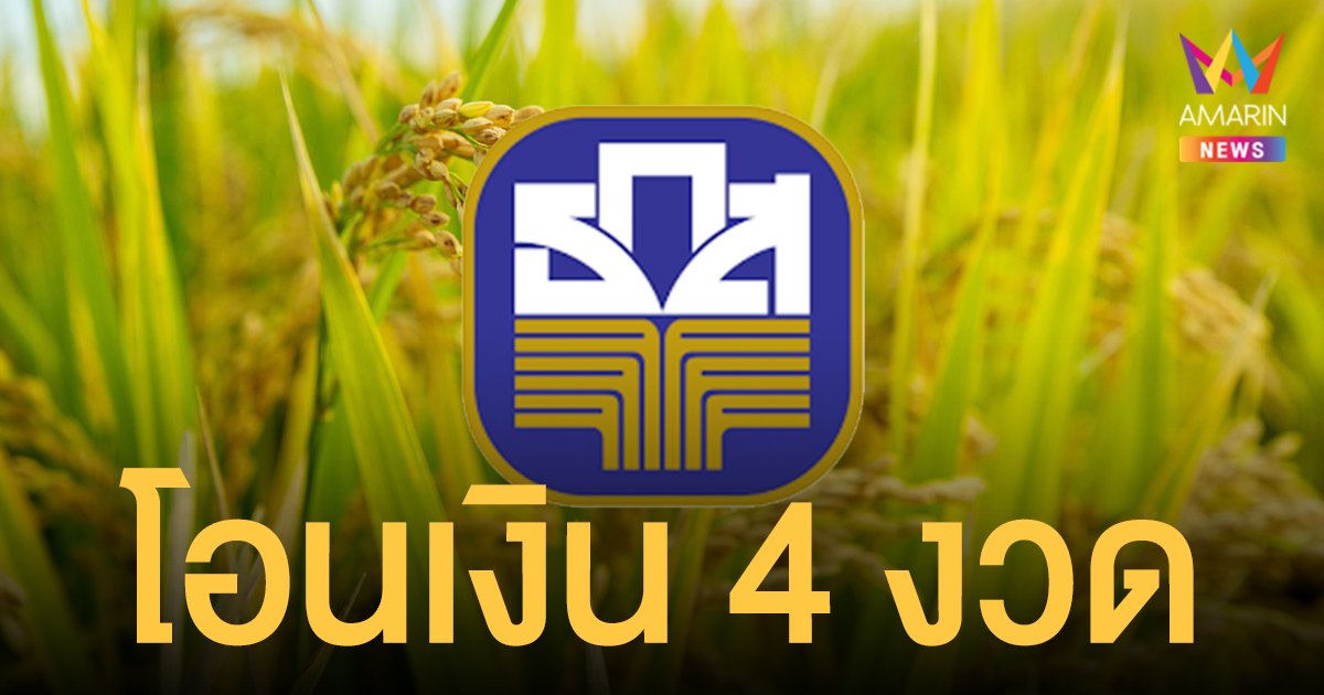 เช็ก เงินประกันราคาข้าว ปี 64/65 ทั้งหมด 4 งวด ธ.ก.ส. เร่งโอนให้ครบ 1.2 หมื่นล้าน