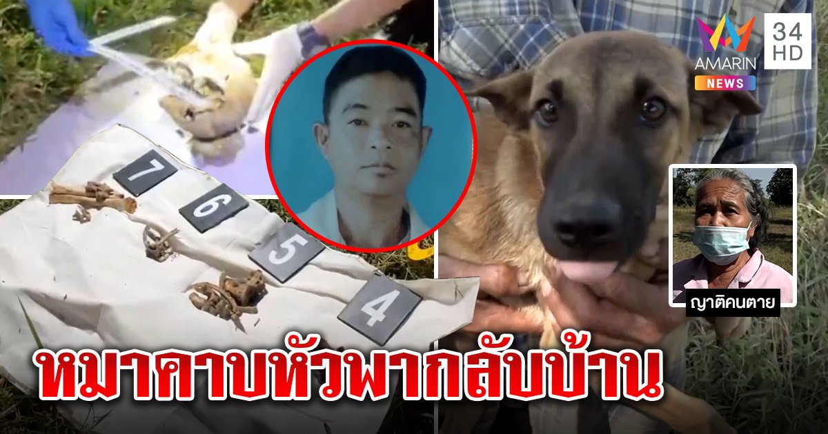 ขนลุก! หนุ่มหายตัวนานนับเดือน "จ่อย" หมาแสนรู้คาบกะโหลกซากกระดูกมาให้ ญาติถึงรู้ว่าตาย (คลิป)