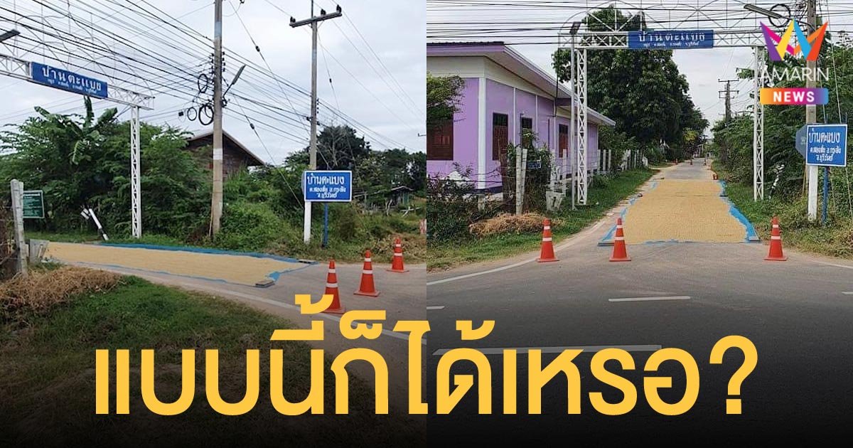 โซเชียลด่าเละ ญาติผู้ใหญ่บ้านตากข้าวปิดทางเข้าออกหมู่บ้าน อ้างรู้เท่าไม่ถึงการณ์