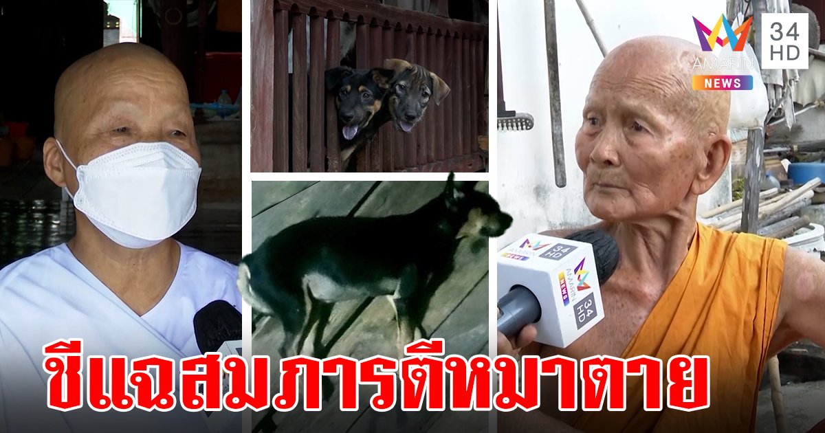 ชีแจ้งจับเจ้าอาวาสฆ่าหมาโมโหขึ้นกุฏิ สมภารแจงรักสะอาด ยันตอนฟาดไม่ถึงตาย (คลิป)