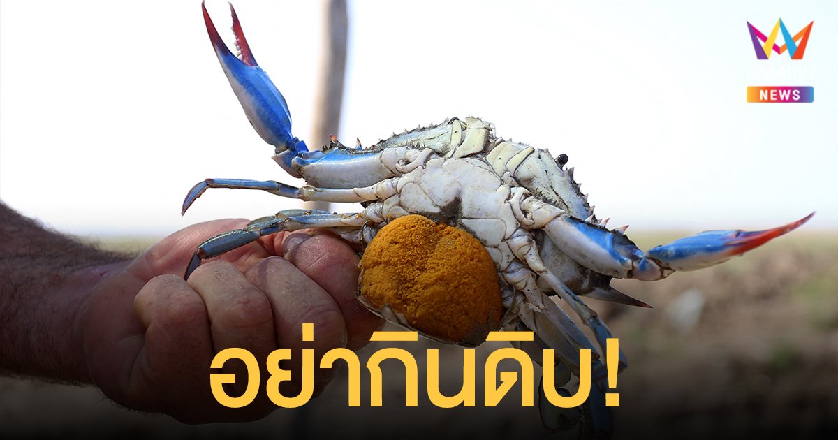 เตือนอย่า กินปูดิบ เสี่ยงพยาธิชอนไชไปในปอด หนักสุดถึงเสียชีวิต