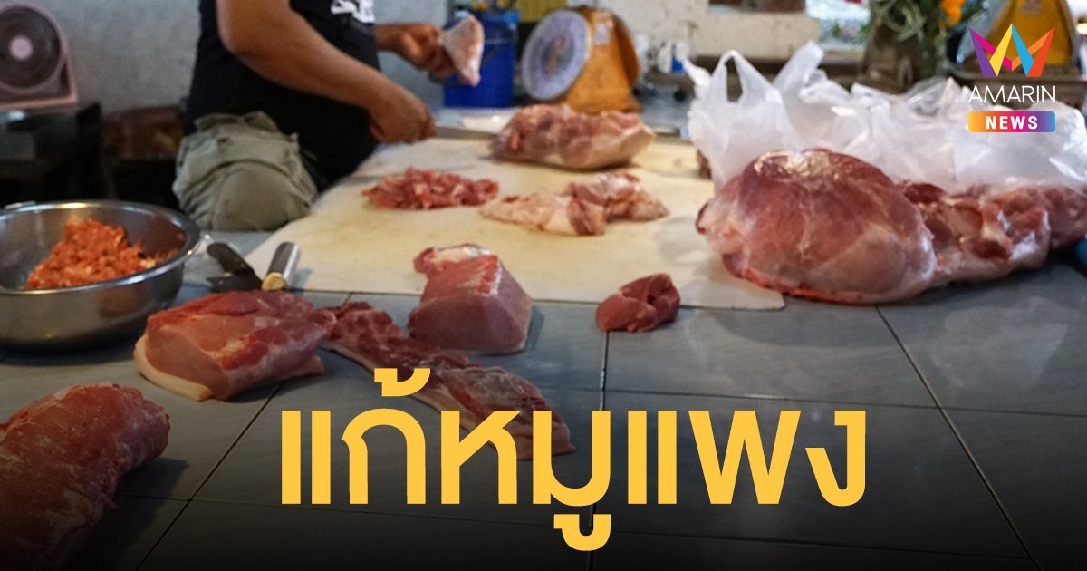 แก้ หมูแพง! พาณิชย์ ตั้งแผง 600 จุดทั่วประเทศ ขาย หมูเนื้อแดง โลละ 130 บาท