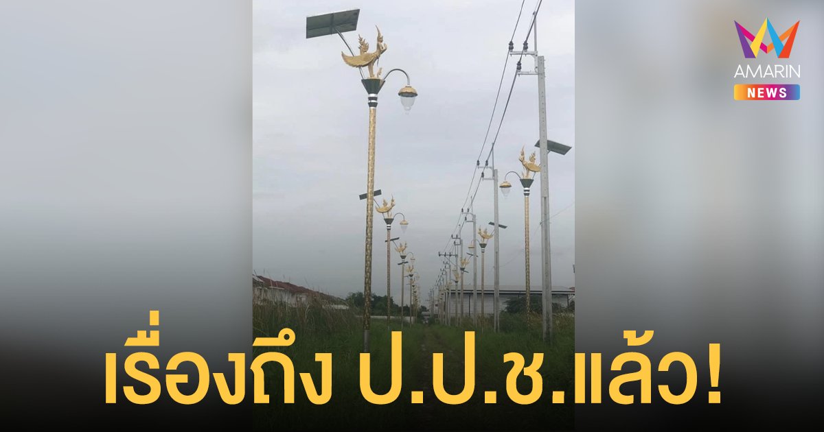 ดีเอสไอ ส่งสำนวนคดี เสาไฟกินรี อบต.ราชาเทวะ ให้ ป.ป.ช. แล้ว