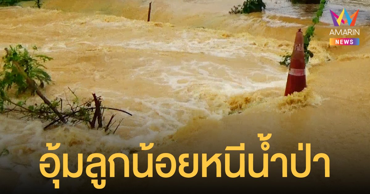 ตรัง น้ำป่าวิปโยค แม่ลูก4หนีตาย อุ้มลูก 9เดือนหนีน้ำ ทรัพย์สินหายเกลี้ยง