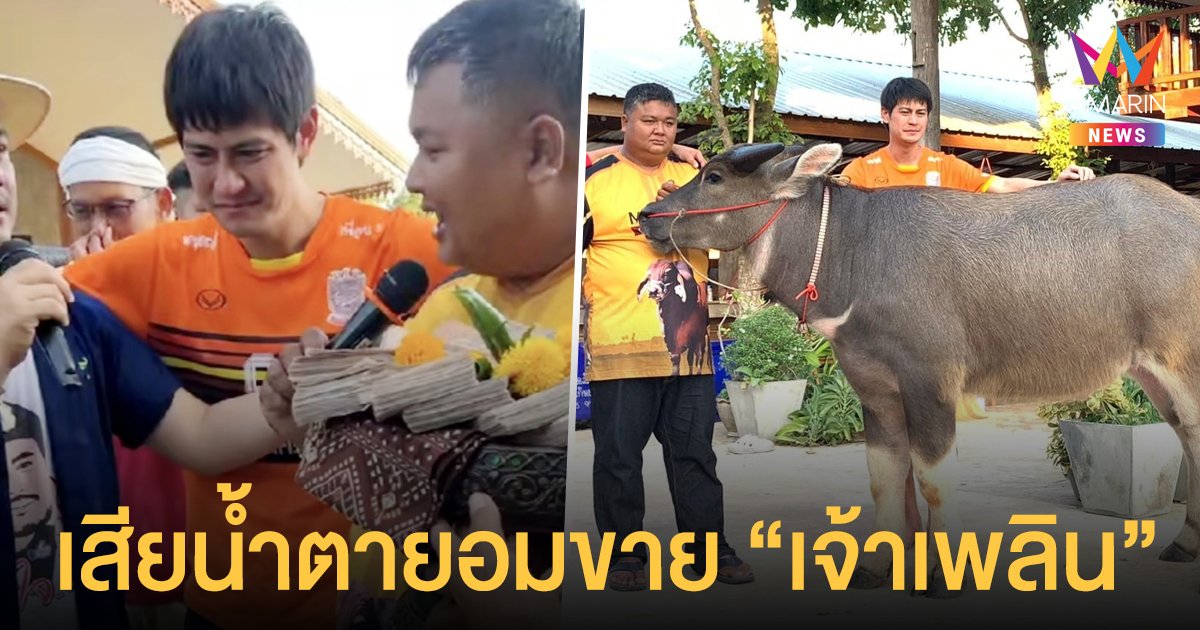 น้ำ รพีภัทร  เสียน้ำตายอมขาย “เจ้าเพลิน” ควายสุดที่รัก ในราคา 2 ล้าน