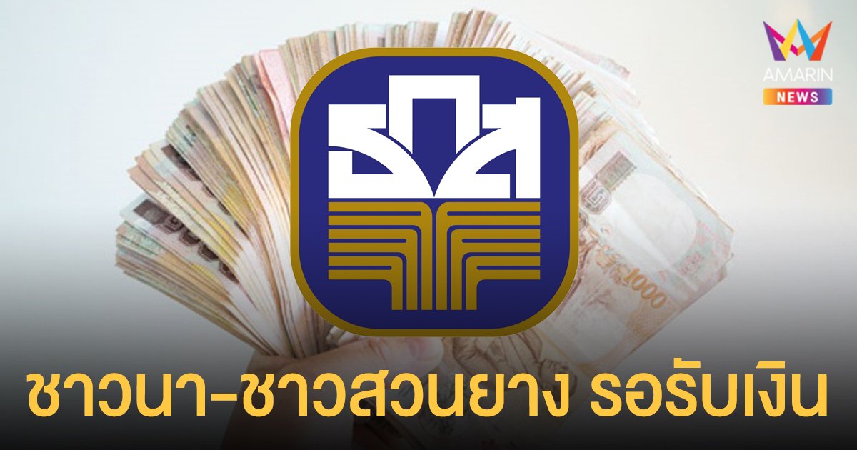 ธ.ก.ส. - พาณิชย์ ยืนยันจ่าย เงินประกันรายได้เกษตรกร ชาวนา - ชาวสวนยาง  9 ธ.ค.นี้