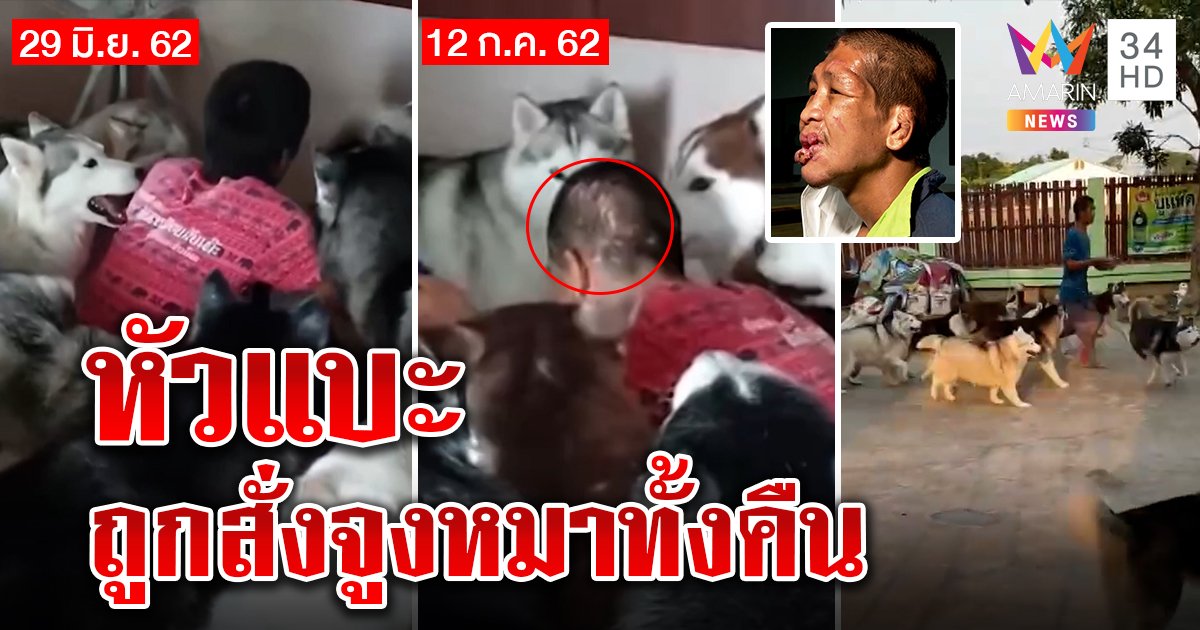 เปิดหลักฐานใหม่! เจ๊กั้งฟาดฟ้า 20 วันแผลบากเต็มหัว อดีตคนงานแฉสั่งพาหมาเดินทั้งคืน (คลิป)