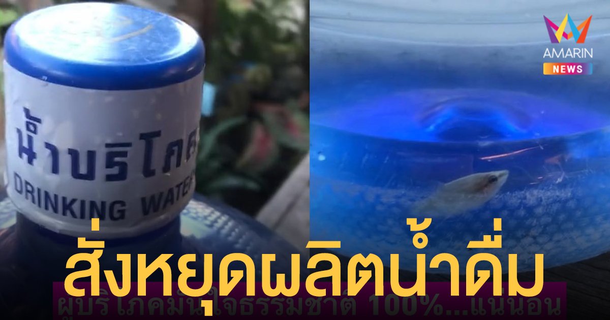 ภาพ ปลากัด ว่ายในถังน้ำ เจอต้นตอแล้ว สสจ.อุบลราชธานี สั่งปิดโรงผลิตน้ำดื่ม