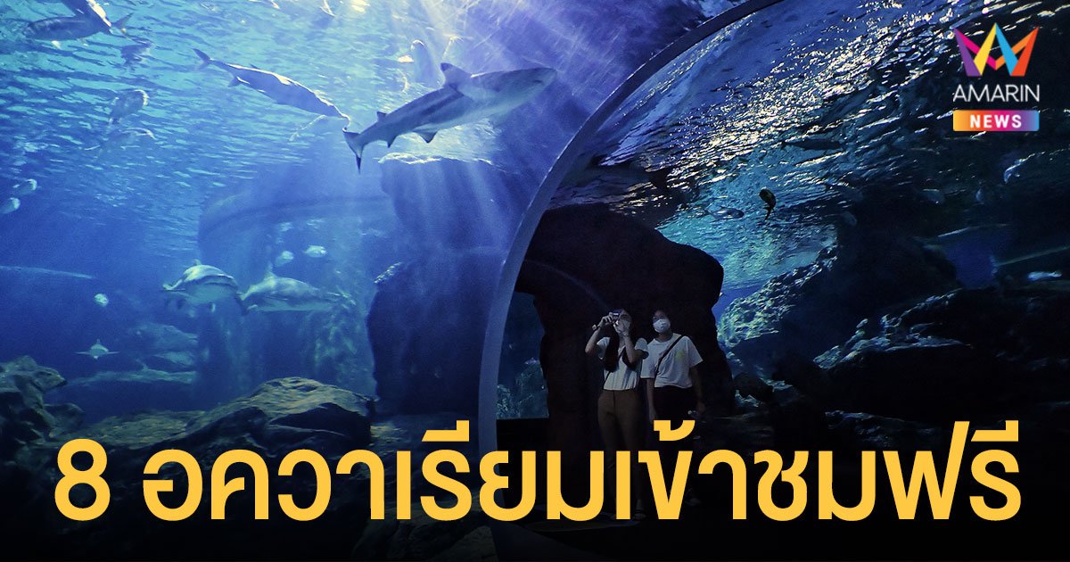 เช็ก 8 อควาเรียม เปิดให้เข้าชมฟรีช่วง ปีใหม่ 2565