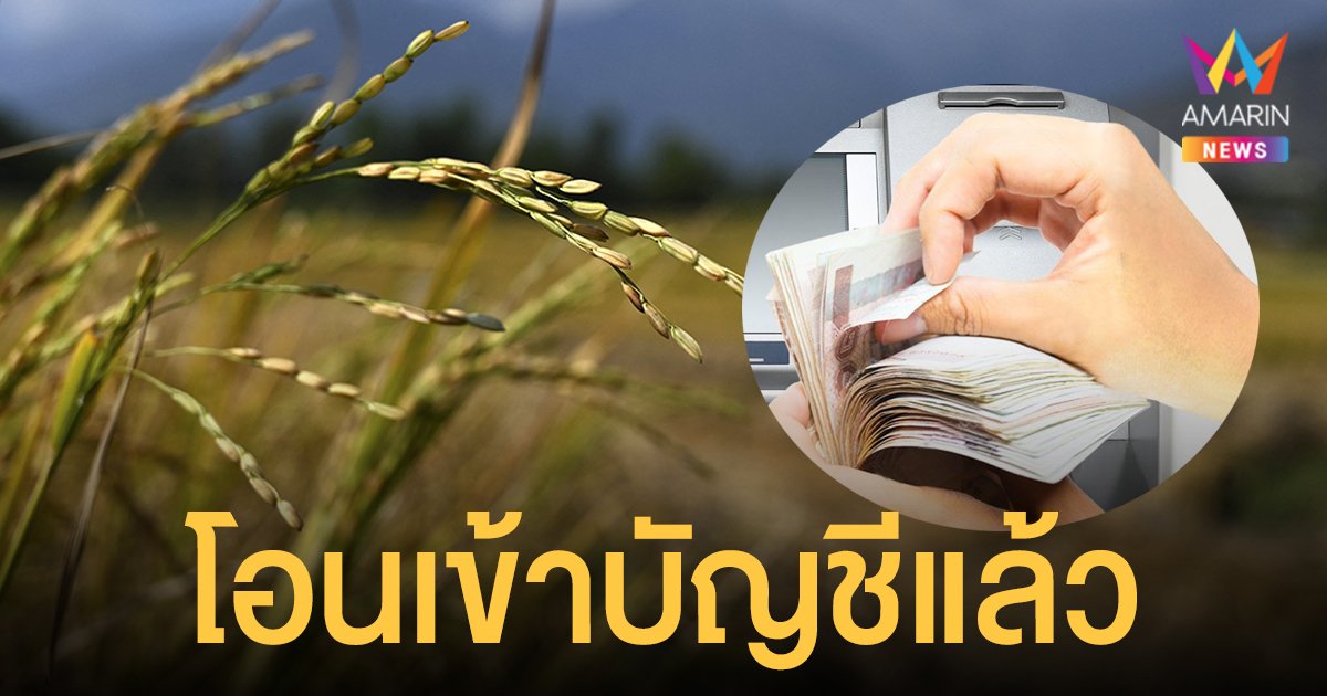 เช็กเลย เงินช่วยเหลือชาวนา และ เงินประกันรายได้เกษตรกร โอนเข้าบัญชีแล้ว