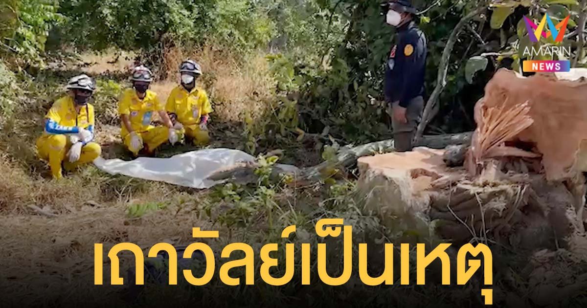 ลุงตัดต้นไม้ ถูกเถาวัลย์กระชากกิ่งไม้ต้นที่อยู่ติดกัน หล่นลงมาทับหัวดับ