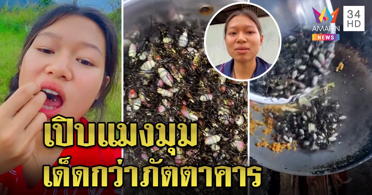 เชฟกะเหรี่ยงเปิบ "แมงมุม" เด็ดเทียบภัตตาคาร เจ้าตัวกินโชว์ หมอชี้ปรุงสุกกินได้ (คลิป)