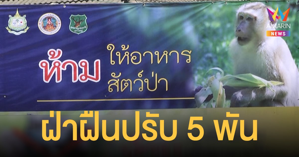 เอาจริง! เขาใหญ่ ปิดป้ายประกาศห้ามให้อาหารสัตว์ป่า ฝ่าฝืนปรับ  5,000 บาท