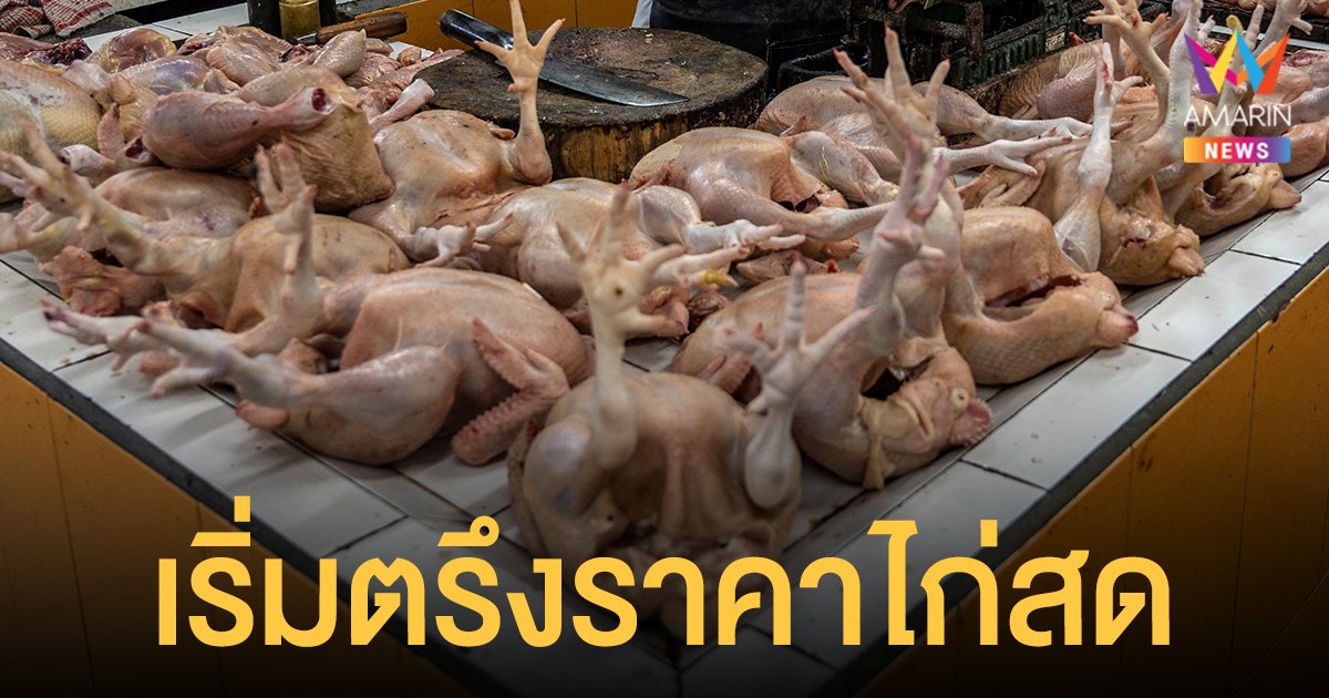 พาณิชย์ สั่งตรึงราคา ไก่สด  60-65 บาท/กก. เริ่มวันนี้จนกว่าสถานการณ์คลี่คลาย