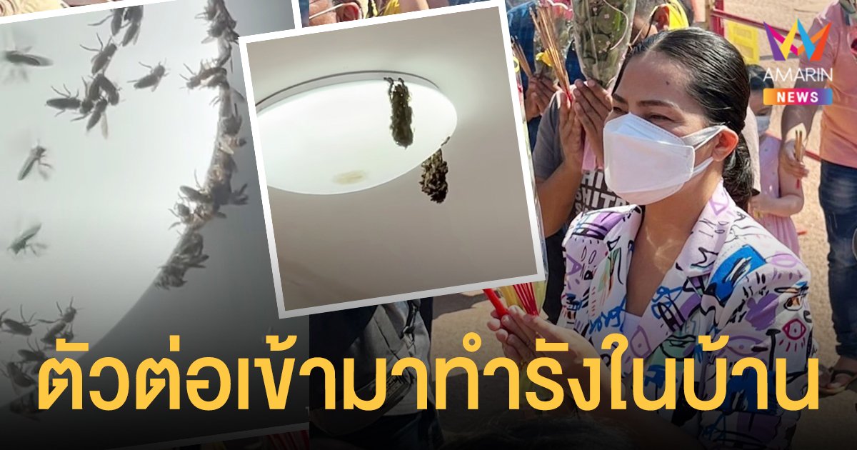 สุนารี ราชสีมา  เผยคลิปตัวต่อเข้ามาทำรัง พร้อมเปิดเลขที่บ้าน!