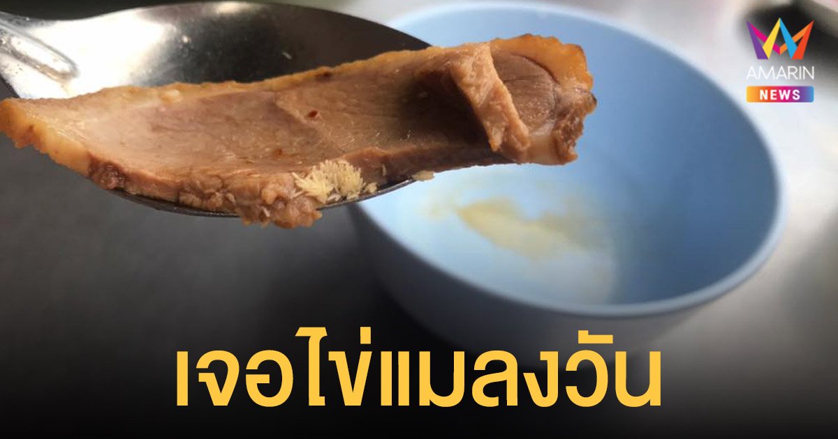 ช็อก! สาวโพสต์เจอ ไข่แมลงวัน ในเป็ดพะโล้ ร้านลดราคาแต่ไม่ขอโทษ ไล่อยากได้อะไรให้ไปแจ้งความ