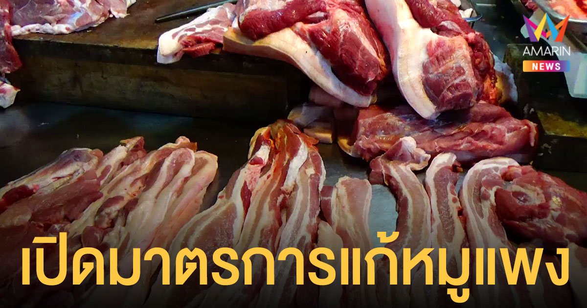 รัฐบาล สรุปมาตรการแก้ หมูแพง ห้ามส่งออก 3 เดือน ลดต้นทุน-ทำฟาร์มระบบป้องกันโรค