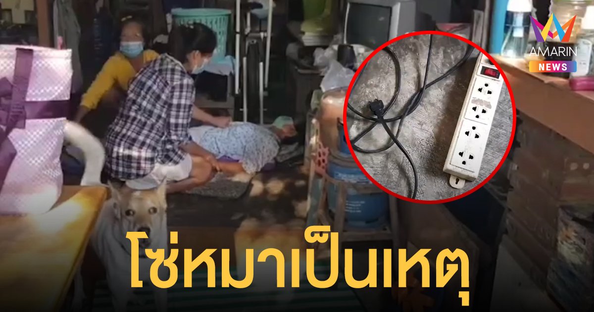 อุทาหรณ์! โซ่สุนัข แหย่ปลั๊กไฟ แม่วัย 73 พร้อมลูกสาวเข้าช่วยหมา ถูกไฟดูดด้วย