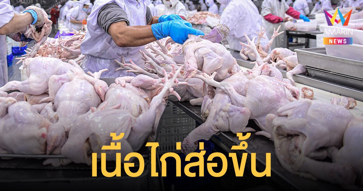 ราคา ไก่ ส่อแพงขึ้นตาม หลังหมูในตลาดขาดแคลน