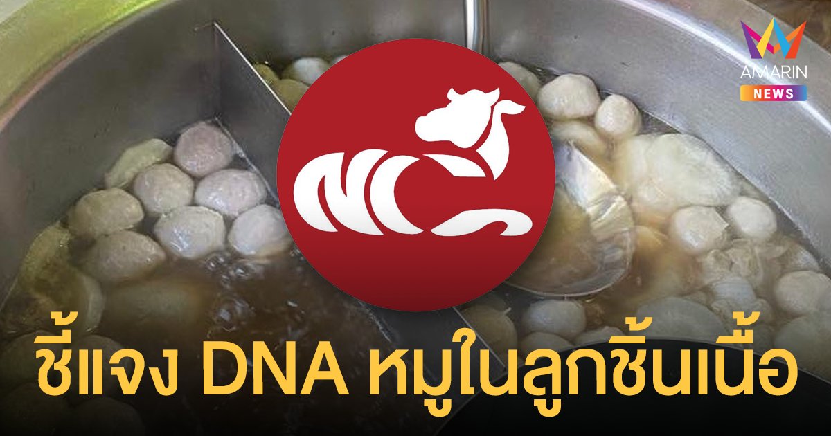 ชี้แจงแล้ว! นำชัย ยัน ไม่ได้นำหมูมาผสม ลูกชิ้นเนื้อ พร้อมงดใช้ตราฮาลาลระหว่างรอผลตรวจสอบ