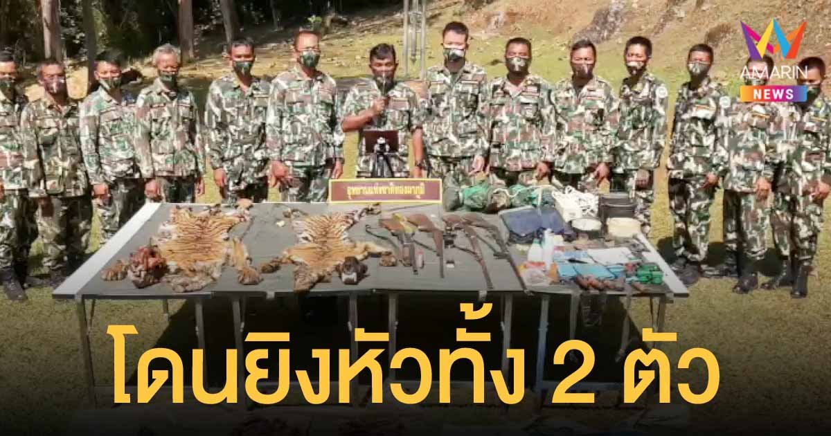 ผลตรวจพบ เสือโคร่ง ทองผาภูมิ ถูกยิงที่หัว ตัวแรก 12 รู ตัวที่สอง 4 รู