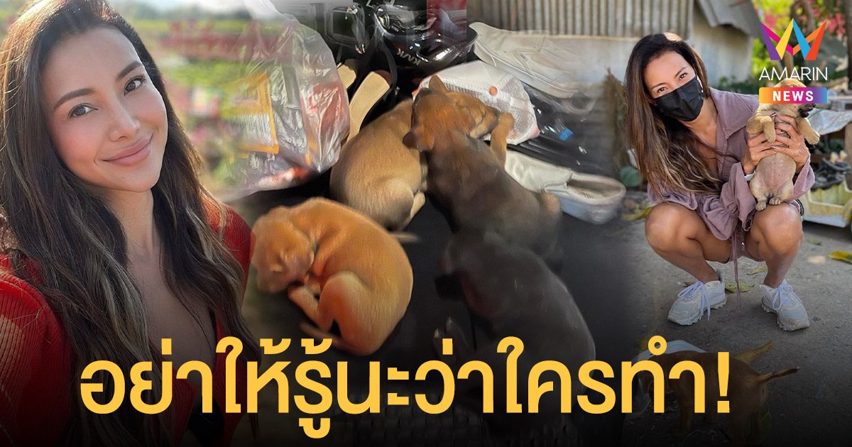 โย ยศวดี  เดือด! เจอคนโยนน้องหมาทิ้งข้างทาง ลั่นอย่าให้รู้นะว่าใครทำ!