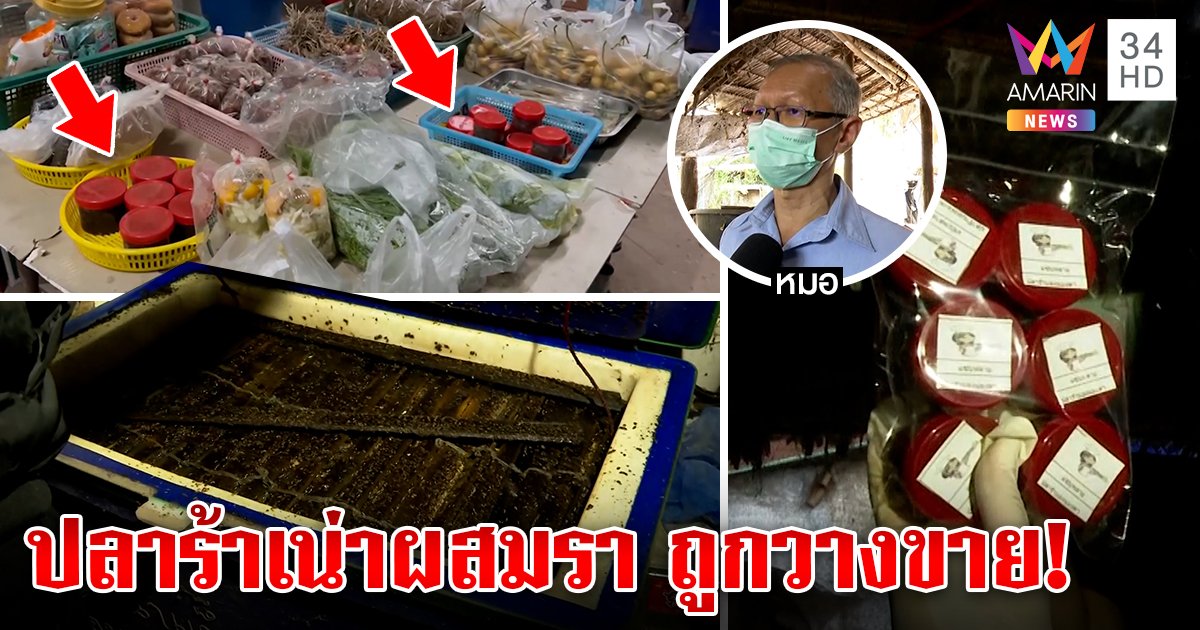 หมอตาค้างปลาร้าบองหนอนไช ถูกส่งขายแล้ว “พระบิดา” ยัดมดและราในขนมขายนาน 20 ปี (คลิป)