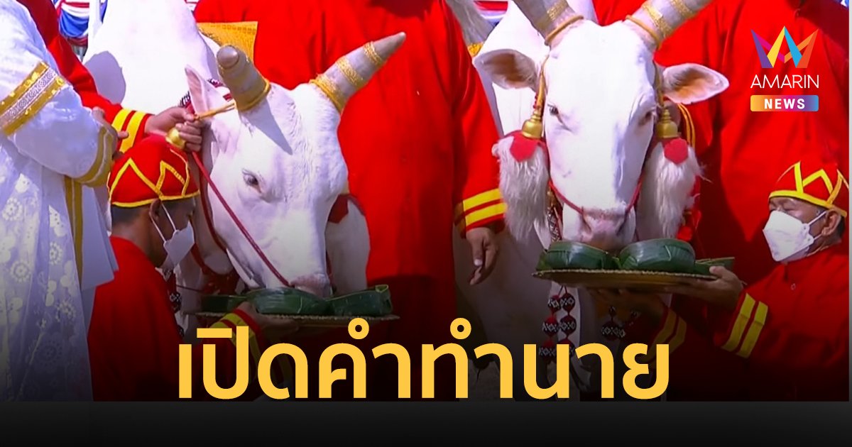 วันพืชมงคล 2565 พระโคกิน น้ำ หญ้า ถั่ว เหล้า น้ำท่าบริบูรณ์ เศรษฐกิจรุ่งเรือง