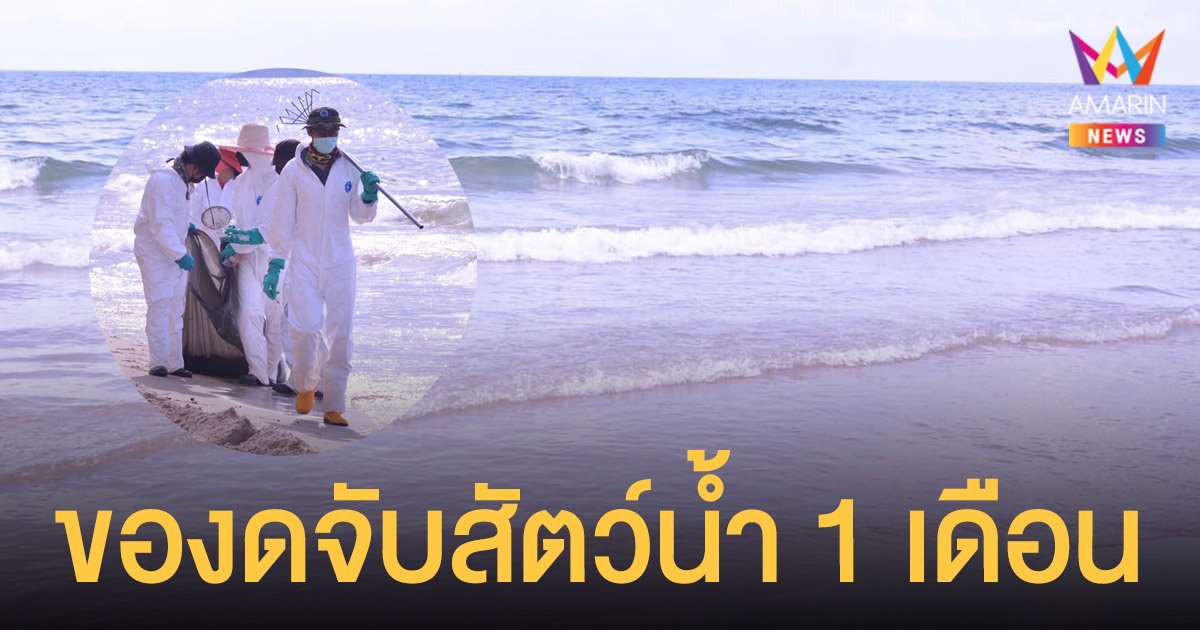 น้ำมันรั่ว เต็มหาดแม่รำพึง ระยอง ทส.เตือนงดจับสัตว์น้ำ 1 เดือน สั่งเร่งเก็บกู้