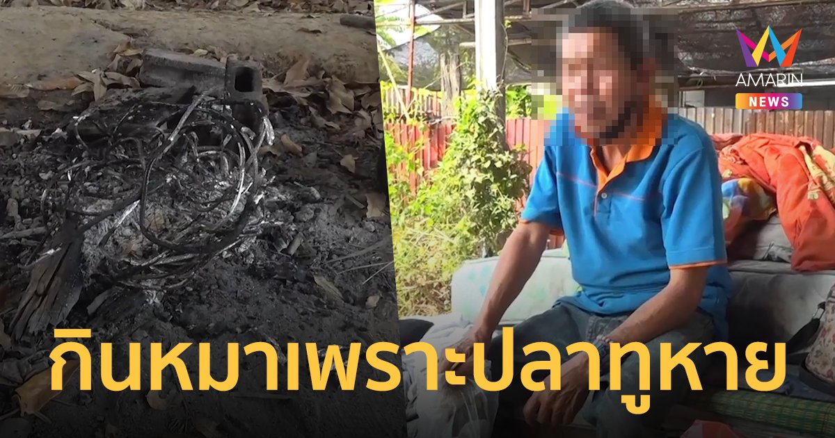 ลุงฉุนจัด! หมา แอบกินปลาทู คว้าสากฟาดชำแหละเนื้อทำแดดเดียว - พะโล้