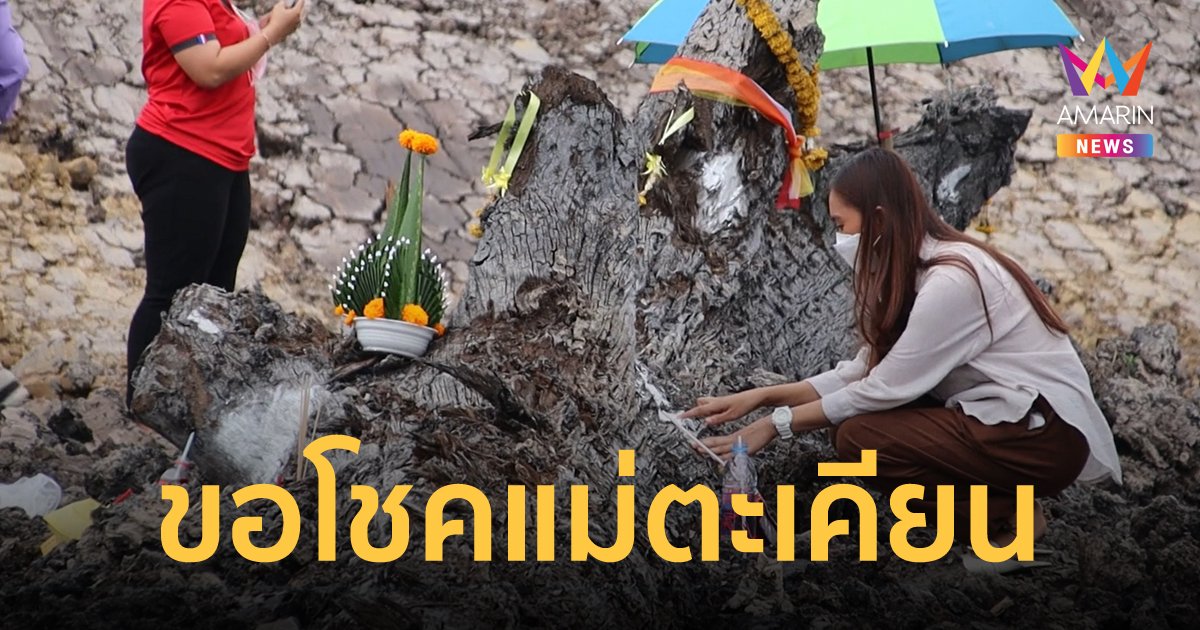 คอหวยตื่นเต้น! พิษณุโลก-สกลนคร ขุดลอกคลองเจอ ต้นตะเคียนยักษ์ อายุนับร้อยปี