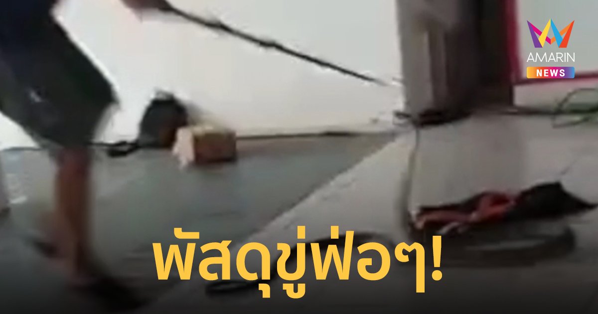 พนักงานขนส่งช็อก เจอ งูจงอาง ยาว 4 เมตรในกล่องพัสดุ