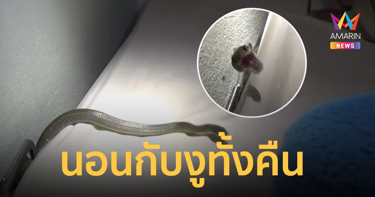 สาวกรี๊ดลั่นบ้าน นอนอยู่กับงูทั้งคืน โชคดีไม่โดนกัด