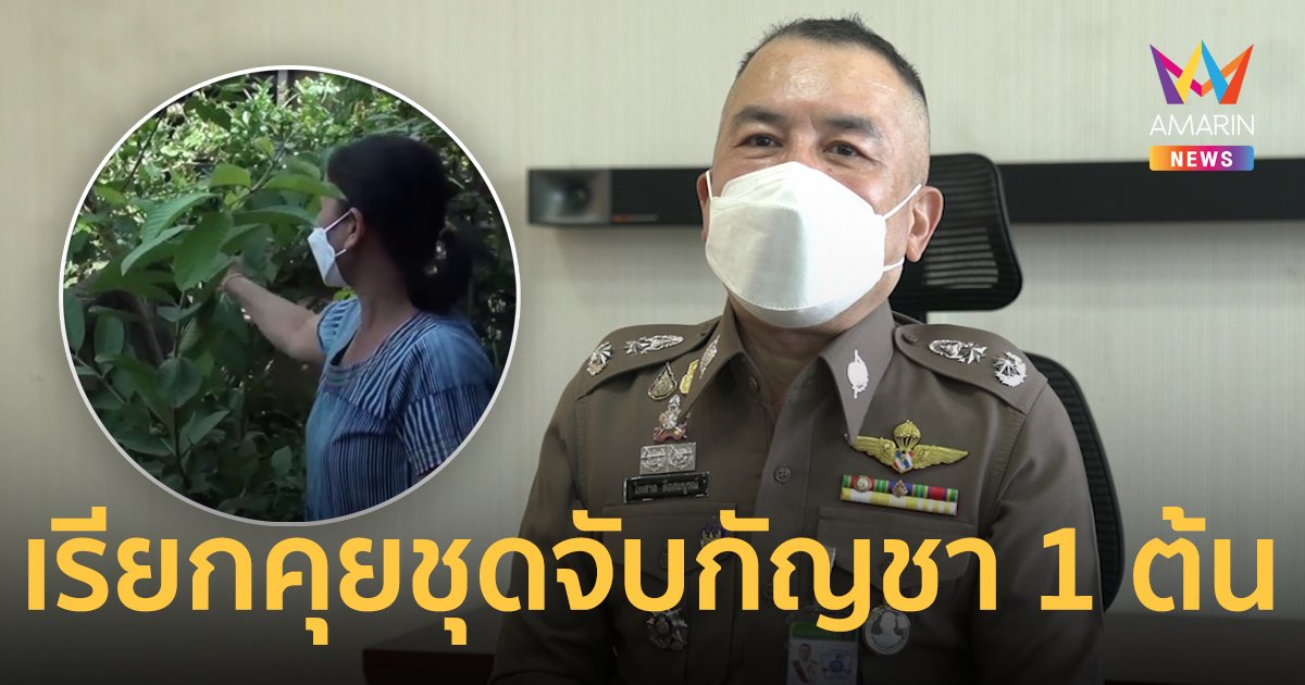 ผบช.ภ.4 เรียกคุย ตำรวจชุดจับ กัญชา 1 ต้น กำชับทุกโรงพักใช้วิจารณญาณ-ดูเจตนา