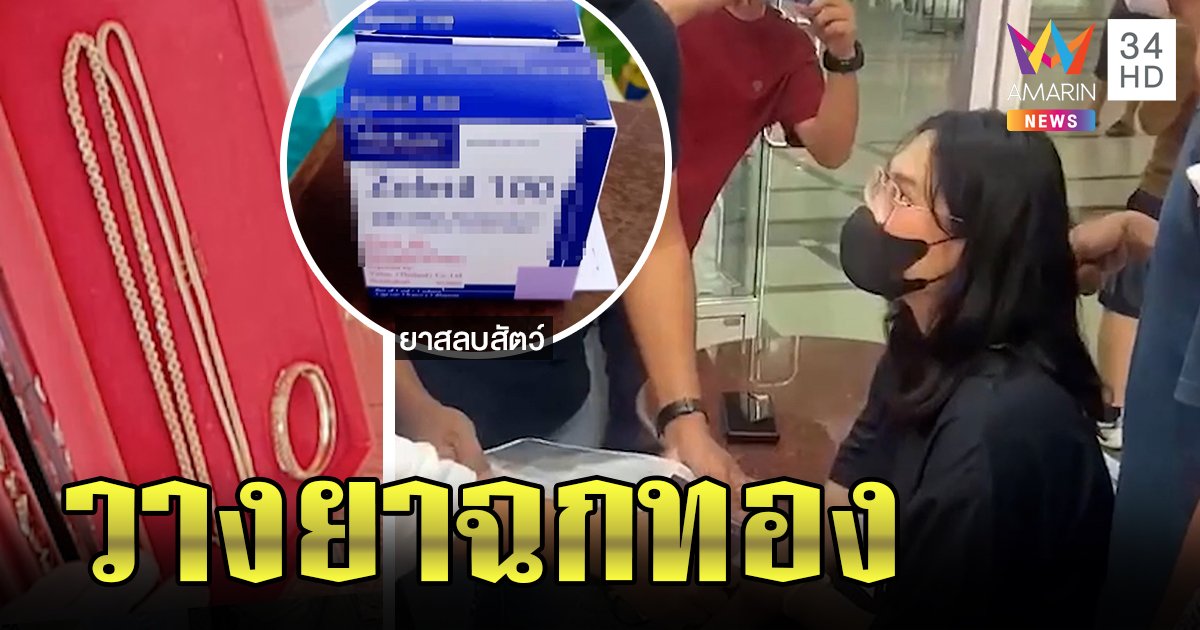 เถ้าแก่ชุบชีวิตสาวตกงาน เนรคุณวางยาฉกทอง หมอชี้พิรุธใช้ยาสลบหมาเฉพาะทาง (คลิป)