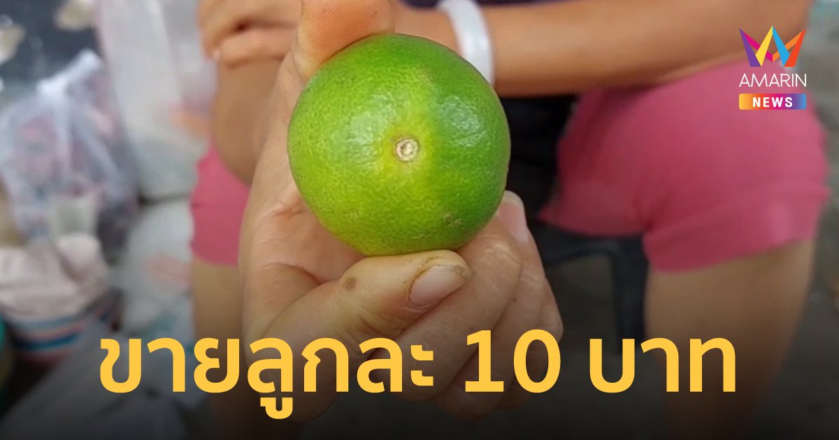 แม่ค้าระทม! มะนาวแพง ขยับมาเป็นลูกละ 10 บาท ใช้อย่างอื่นแทนไม่ได้ เพราะเปรี้ยวต่างกัน