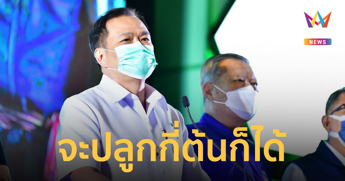 “อนุทิน” ยืนยัน 9 มิ.ย.นี้ สามารถจดแจ้งปลูกกัญชากี่ต้นก็ได้ ย้ำให้ใช้ในทางที่ถูกต้อง