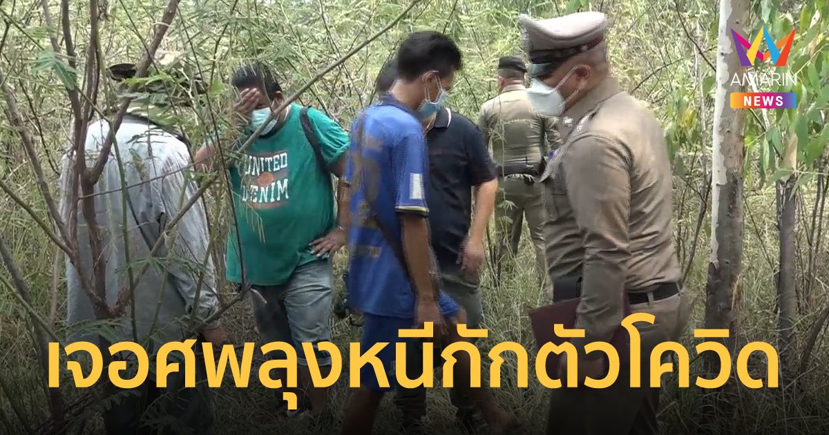 ลุงติดโควิดหนีกักตัวออกจาก รพ. หายไปนาน 3 เดือน ก่อนพบเสียชีวิตในป่ายูคาลิปตัส