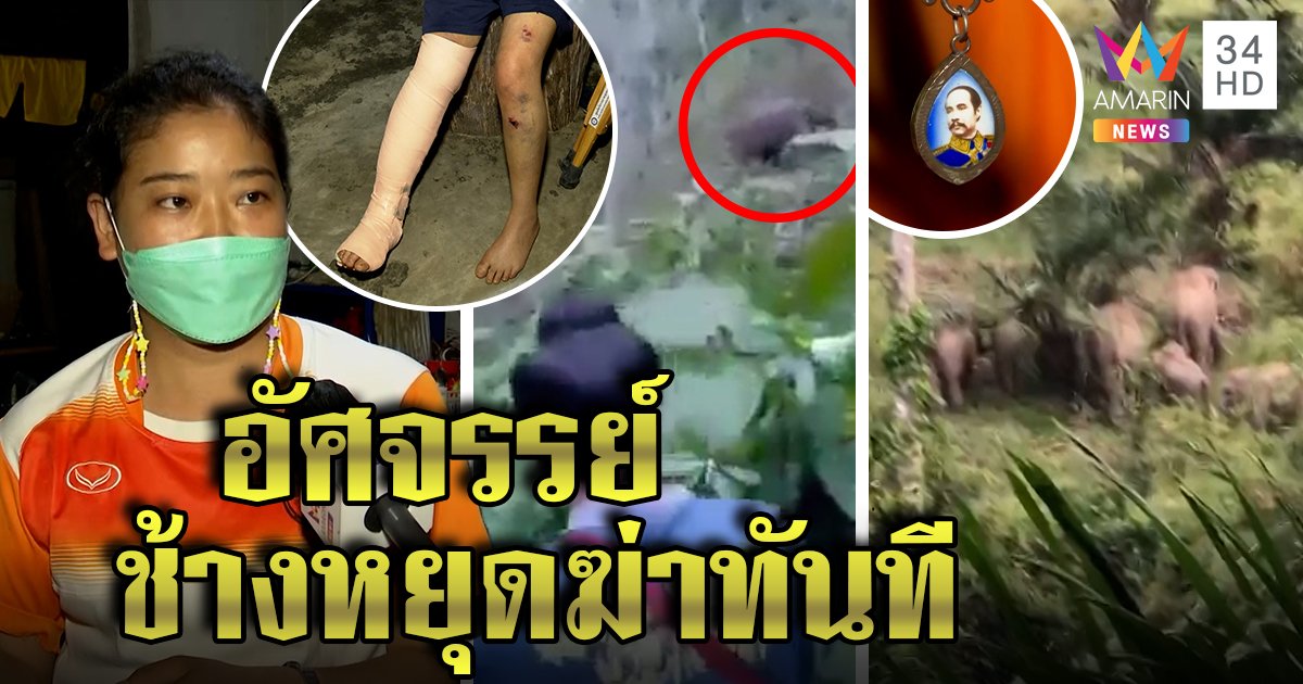 นาทีหวิดตาย สาวถูกช้างลากกระทืบ อัศจรรย์สั่งช้างหยุดได้ ด้วยเหรียญห้อยคอ (คลิป)