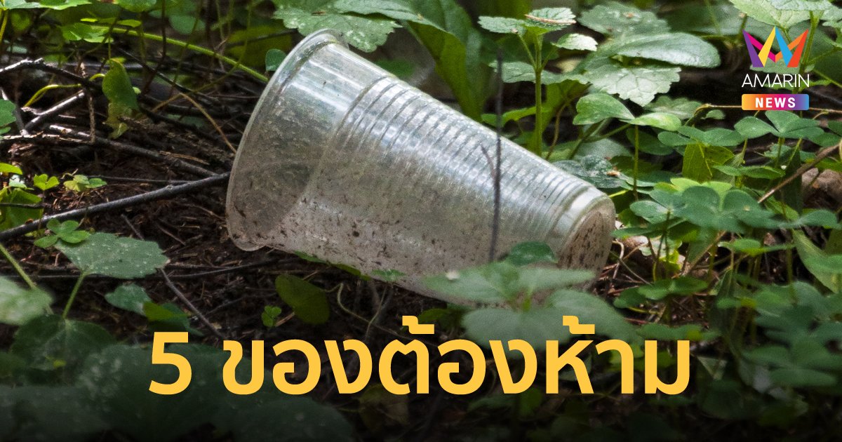 เช็กเลย! 5 สิ่งของต้องห้าม นำเข้าอุทยานแห่งชาติทั่วประเทศ ฝ่าฝืนปรับสูงสุด 1 แสนบาท