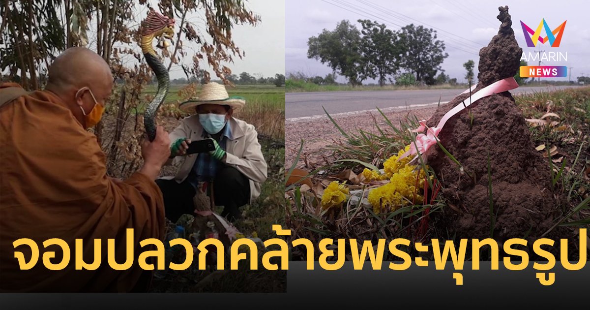 สุรินทร์ฮือฮา จอมปลวกรูปร่างคล้ายพระพุทธรูป ชาวบ้านนำธูปเทียนถวาย เลขเด็ดโผล่ทันควัน