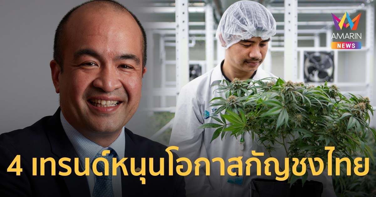 เปิด 4 เทรนด์ หนุน "กัญชงไทย" เติบโตไกล ก้าวเป็นพืชเศรษฐกิจใหม่