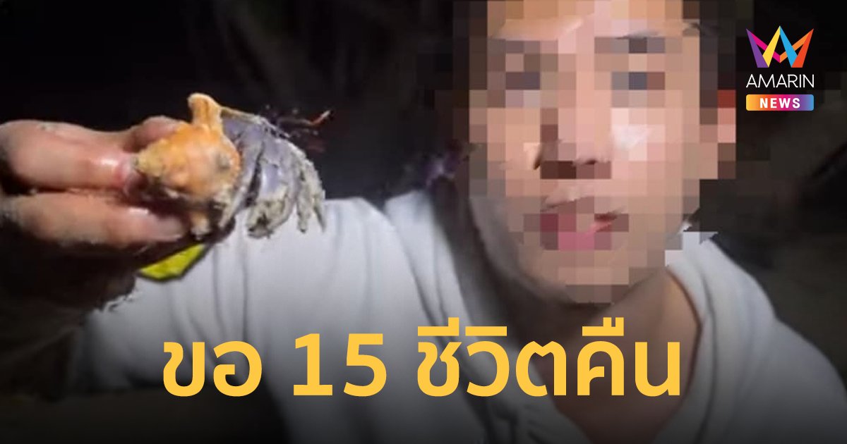 ขอโทษแล้ว! ดราม่ายูทูบเบอร์ จับปูเสฉวน 15 ตัวมาเลี้ยงทำคอนเทนต์