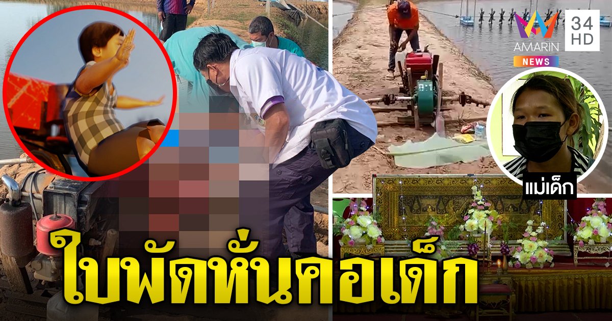 แม่ใจสลาย ลูกถูกใบพัดบ่อกุ้งตัดคอขาด ปล่อยเดินตามหลัง ร่วงน้ำถูกฟันเหวอะ (คลิป)