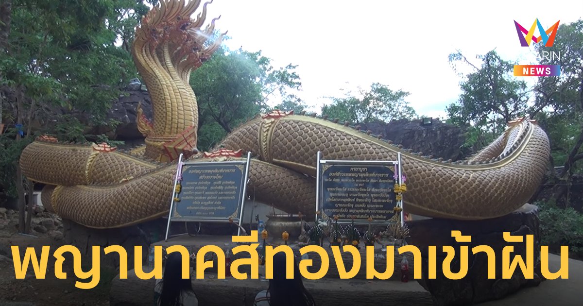 สาวชัยภูมิ เผย เลขเด็ด เชื่องวดนี้มีโชคหลังฝันเห็น "พญานาคสีทอง"