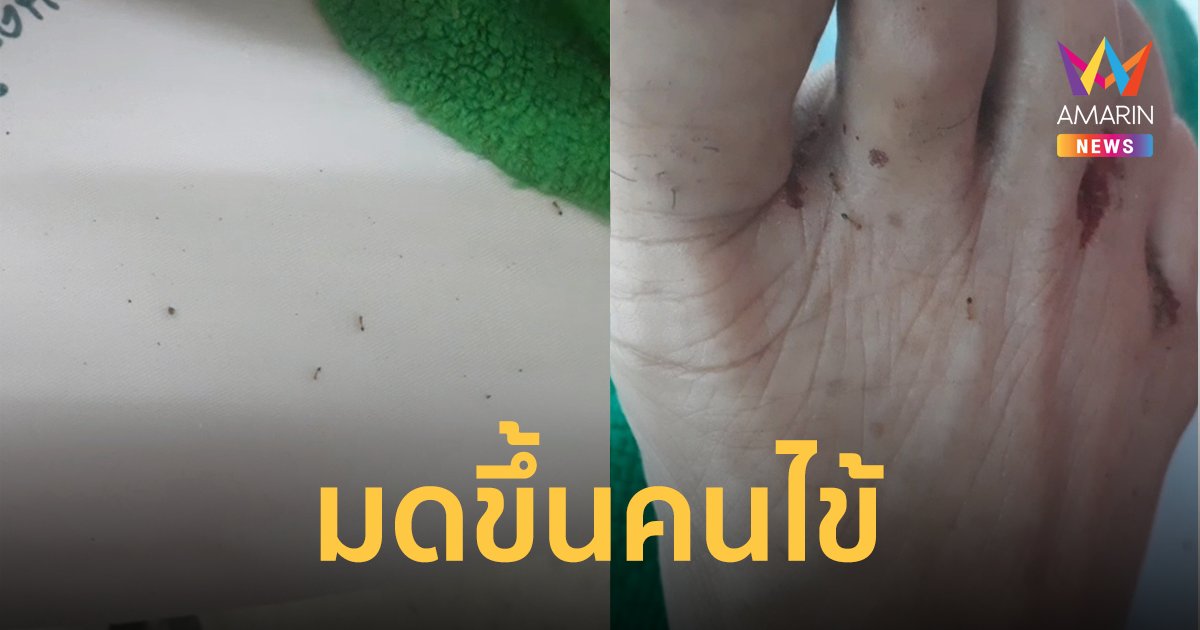 ญาติรับไม่ได้ รพ.ดังเชียงใหม่ ปล่อยมดขึ้นคนไข้ ถามพยาบาลเจอตอกกลับ อึ้ง!!