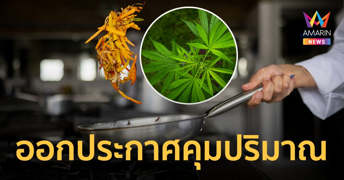 กรมอนามัย ออกประกาศคุมร้านค้า ใช้ "กัญชา" ในเมนูอาหาร-เครื่องดื่ม