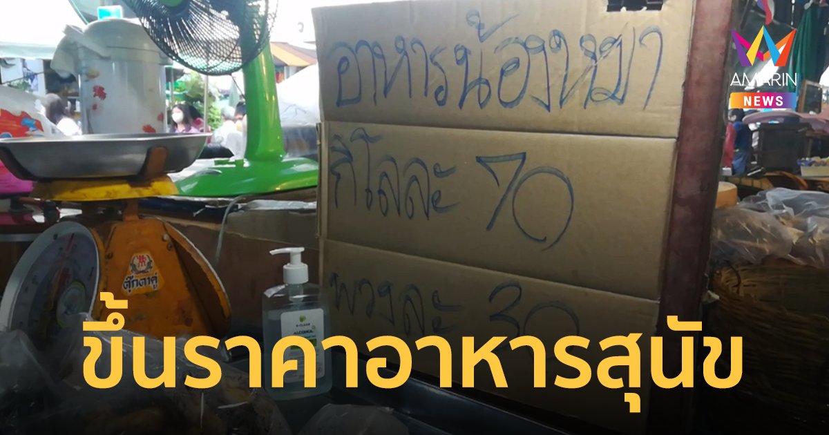 สุดอั้น! ร้านอาหารน้องหมา ขอปรับราคาสูตรผสมไก่บด เหตุต้นทุนเพิ่ม