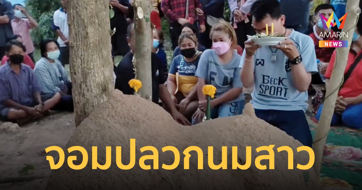 ตะลึง! จอมปลวกคล้ายนมสาว จุกโผล่ชัดเจน ชาวบ้านแห่ขอเลขเด็ด