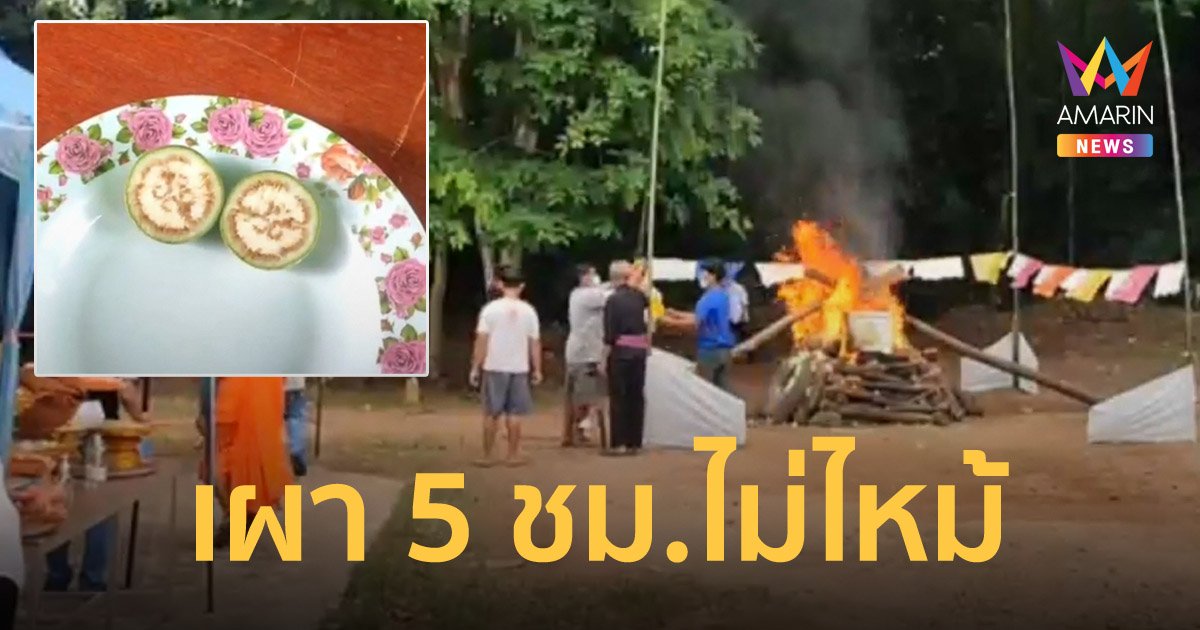 เหลือเชื่อ! เผาหลวงตา 5 ชม. ร่างยังไม่ไหม้  ผ่ามะเขือใต้โลงเลขตรงเป๊ะ